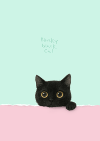 Blinky Black Cat (Light Pink Mint Green)