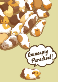Guineapig Paradise