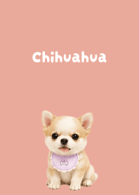 I love Chihuahuas02 pink & blue JP