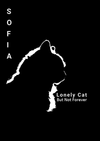 lonely cat