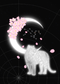 月亮生肖虎狮子座