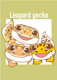 leopard gecko_for reptile lovers_cute