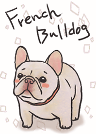 Bulldog Prancis sangat baik dan imut
