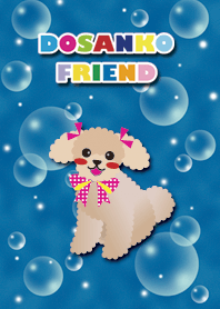 [toy poodle/beige] AQUA