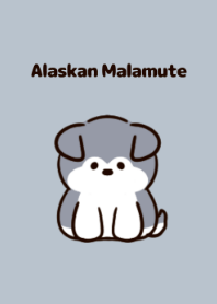 alaskan malamute puppy