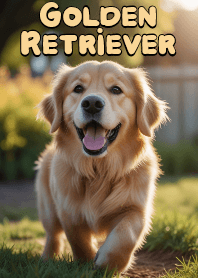 忠實大朋友 黃金獵犬 VOL.4