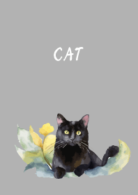there's a cat on white