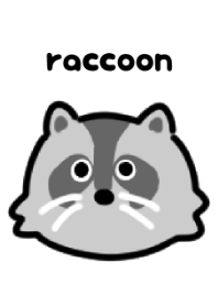 Cute raccoon Theme