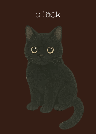 Round Black Cat2 on brown