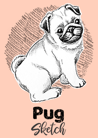 巴哥犬草圖