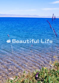 Beautiful Life - landscape