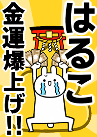 Fortune rise rabbiit[Haruko]