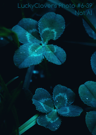 LuckyClovers Photo#6-39Not AI