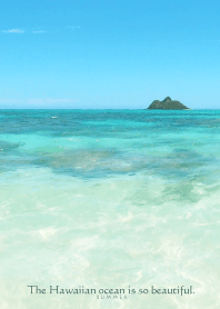 Hawaiian ocean is so beautiful-shell 11