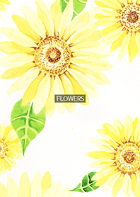 water color flowers_890