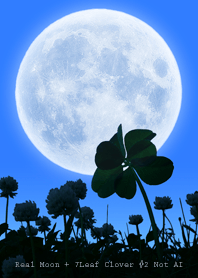 Real Moon+7Leaf Clover #2-6 Not AI