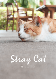 Stray Cat 2 -MEKYM-