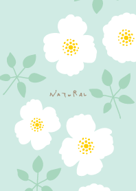 2types of white flowers leaves4 Japan