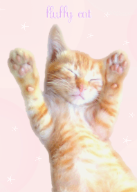 fluffy cat (pastel pink)