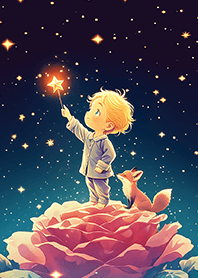 ⭐️小王子與狐狸點亮星空❤️