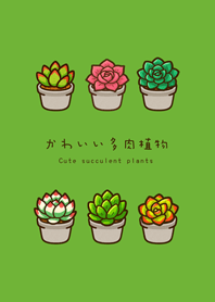 私の多肉植物(新緑)