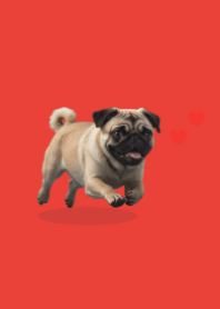 귀여운 퍼그 테마 2 Red 04