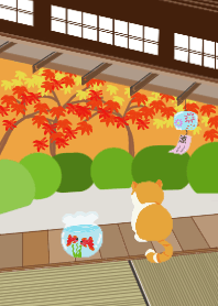 Japanese Style 1-Garden and Cat-Autumn