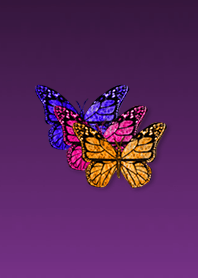 Three Lucky Butterfly Purple Pink