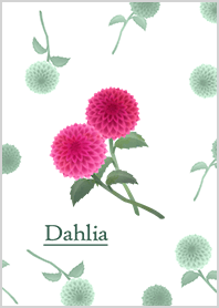 Reika Akatsuki -Dahlia-