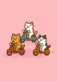 자전거를 타는 고양이-분홍색