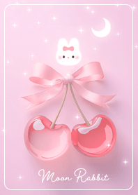 pink Love Comes True Moon Rabbit 02_2