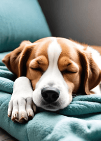 Bright Moon and Dawn 264679