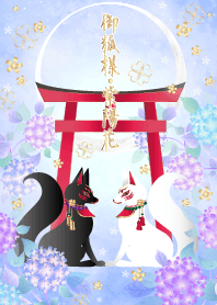 開運・御狐様 紫陽花〜淡青〜