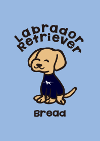 Labrador Retriever Bread