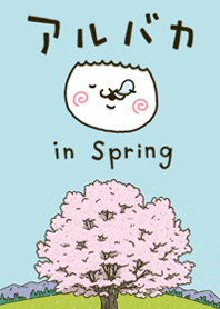 アルバカ in Spring