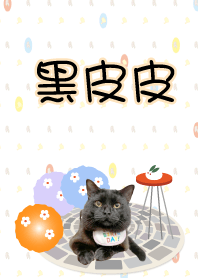 黑皮皮の日常