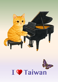 喜歡彈鋼琴的貓