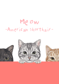 Meow - American Shorthair - WHITE/RED