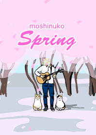 もしぬこ スプリング