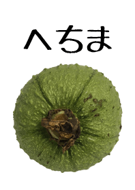 へちま！！！