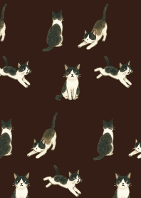 tuxedo cat05 on brown