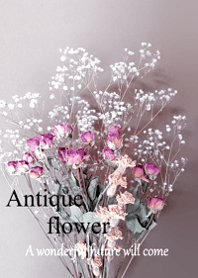 World of Antique dried flower.5.