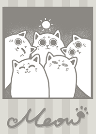 Meow J-Grey Brown (Gr7)