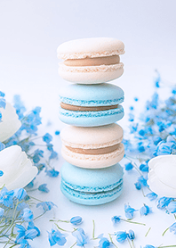 Light Blue macarons