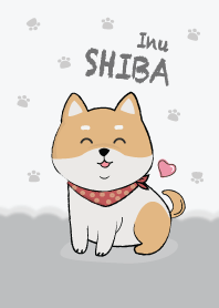 My Shiba Inu.