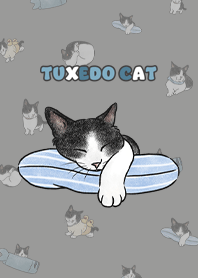 tuxedocat4 / dim grey