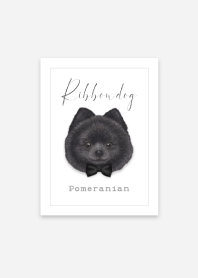 Ribbon dog - Pomeranian - 02 - BLACK