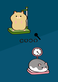 Hamster health check!(Tibetan)