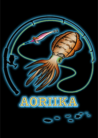 BIGFIN REEF SQUID (2)