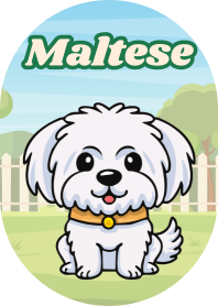 Adorable Maltese (Green 08)